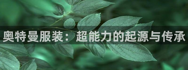 谈球吧网页登录