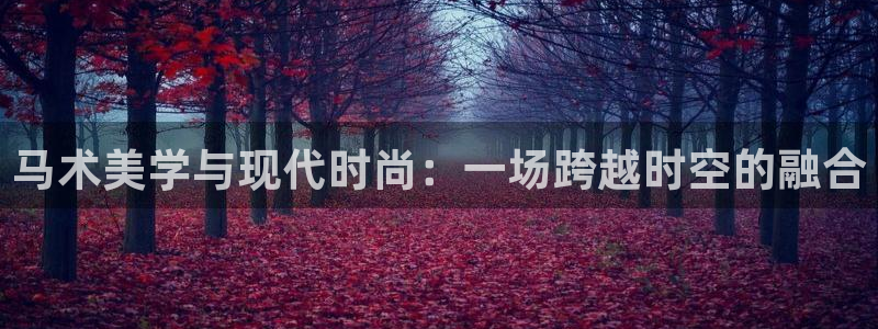 谈球吧体育官网入口