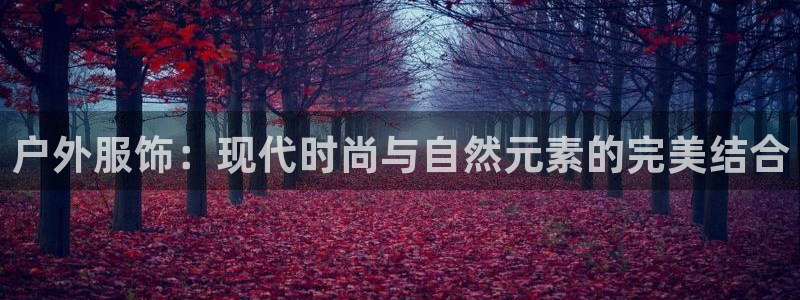 谈球吧官网在线入口免费观看高清版