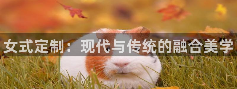 谈球吧的聊天软件叫什么