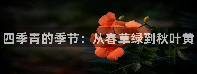 谈球吧app体育下载