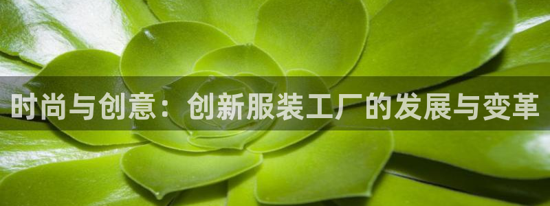 谈球吧与普通平台对比