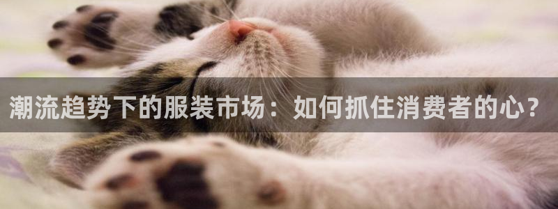谈球吧体育app下载中心官网苹果