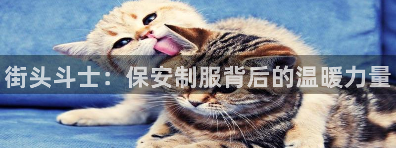 谈球吧官网在线入口免费观看