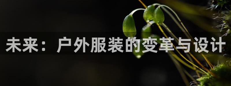 谈球吧的聊天软件是什么