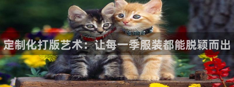 谈球吧官网入口