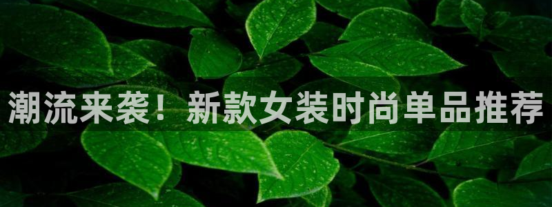 谈球吧能提现不：潮流来袭！新款女装时尚单