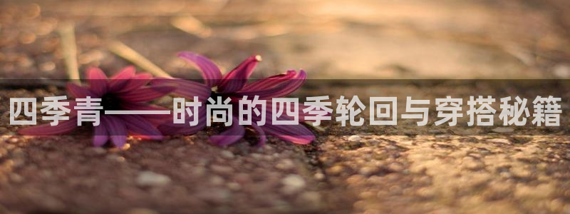 谈球吧体育app下载中心官方最新版