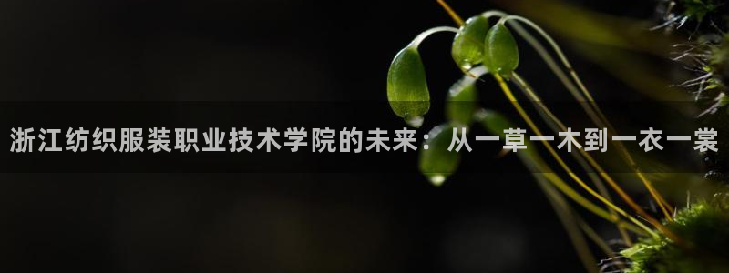 谈球吧体育app下载中心在哪