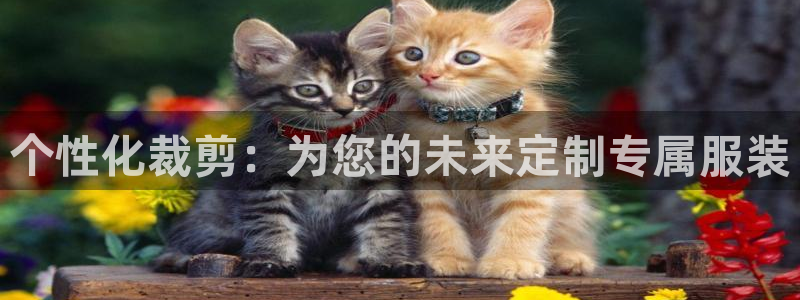 谈球吧是正规平台吗知乎