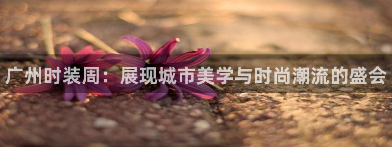 谈球吧官网入口在线观看