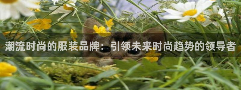 谈球吧入口