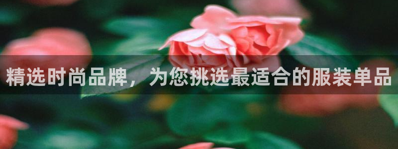 谈球吧app赛事分析报告