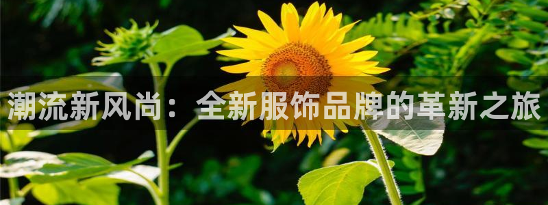 谈球吧官网app下载