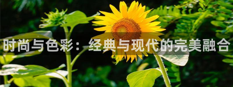 谈球吧体育app下载中心官网