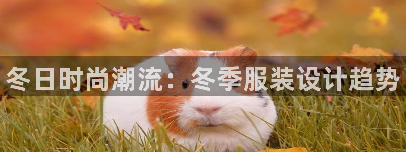 谈球吧体育综合