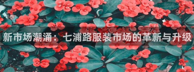 谈球吧体育app下载足球直播
