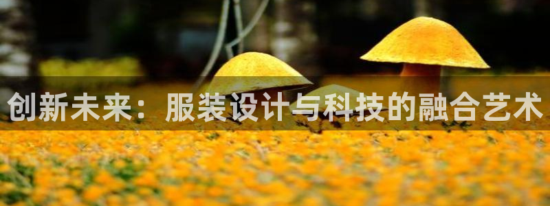谈球吧体育app下载官网安卓