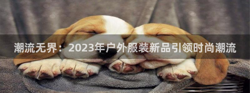谈球吧平台app下载网址