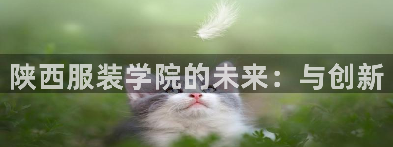 谈球吧在线登录免费观看