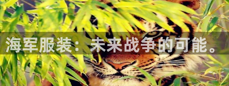 谈球吧tvt