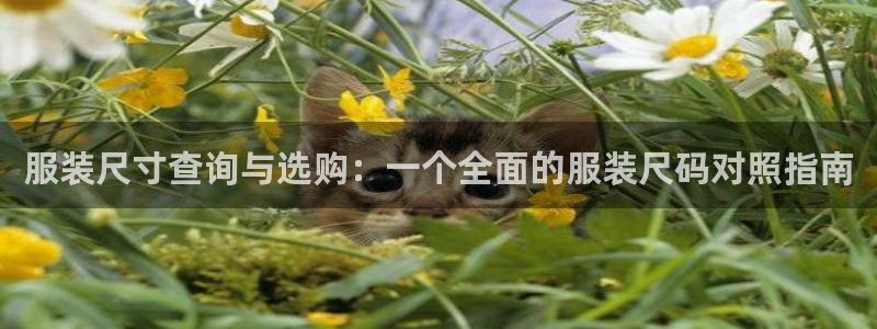 谈球吧娱乐app下载官网苹果