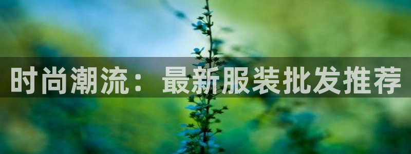 谈球吧网页登录