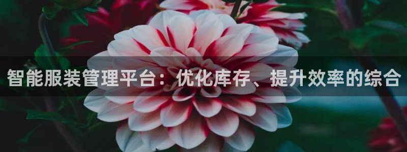谈球吧的聊天软件叫什么