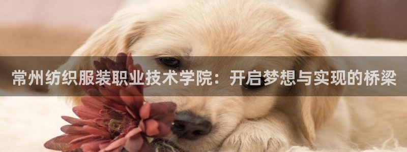 谈球吧官网在线入口免费观看高清视频