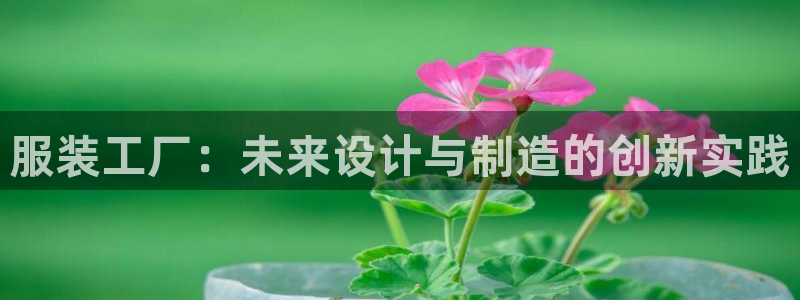 谈球吧的聊天软件叫什么来着