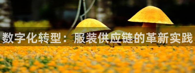 谈球吧账号有人收吗