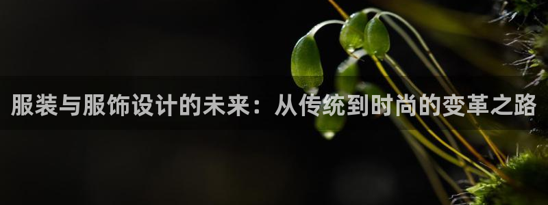 谈球吧的聊天软件叫什么来着