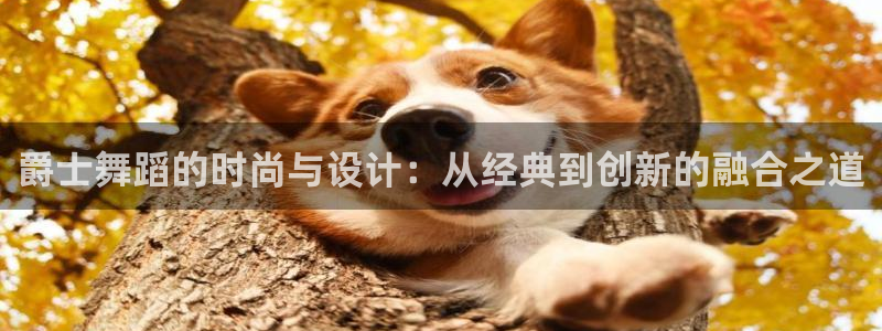 谈球吧咋样黑钱