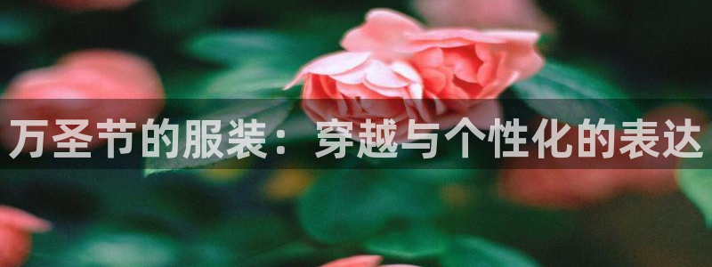 谈球吧体育app下载中心官方网站
