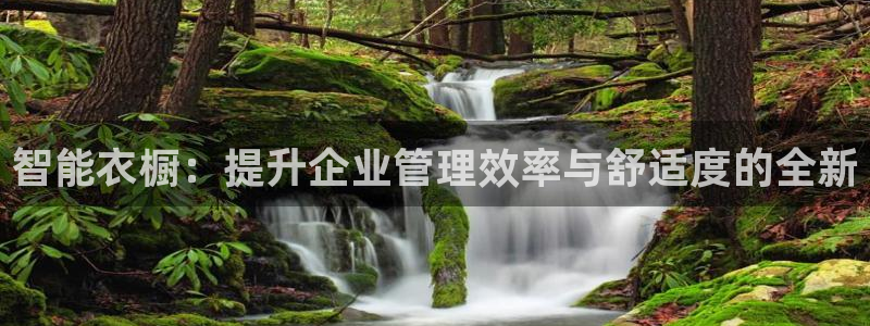 谈球吧账号有人收吗