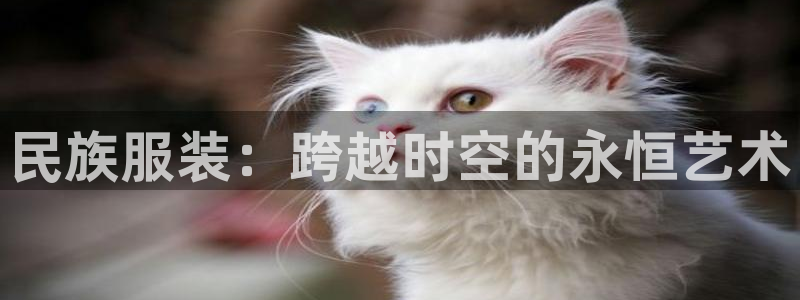 谈球吧体育app下载官网手机版苹果