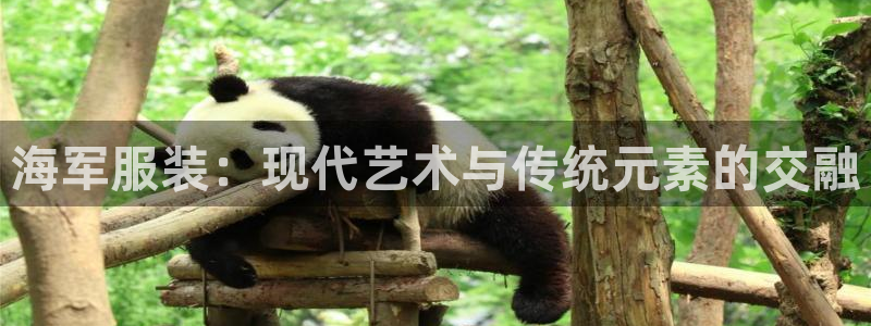 谈球吧的聊天软件下载