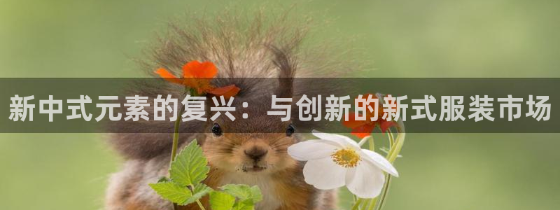 谈球吧官网提款不了