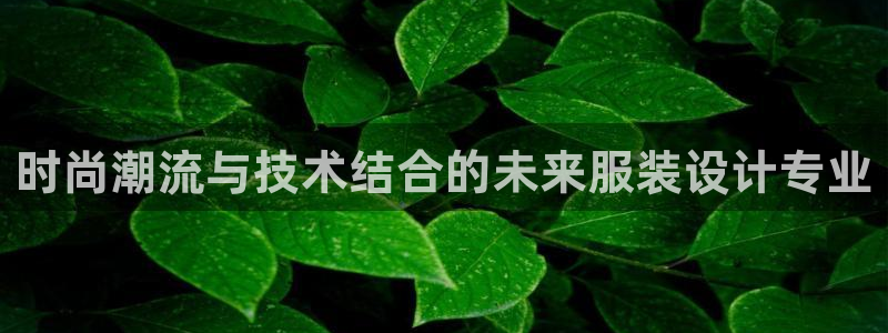 谈球吧官网在线入口手机版