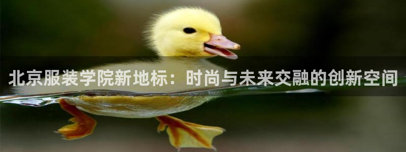 谈球吧登录地址