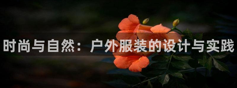 谈球吧体育app下载足球直播