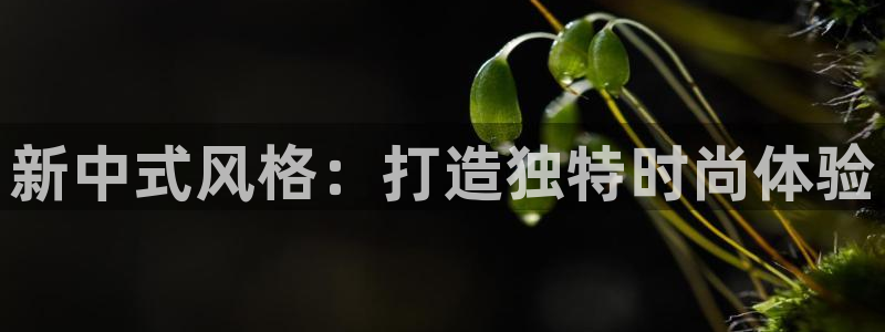 谈球吧体育app下载官网苹果版