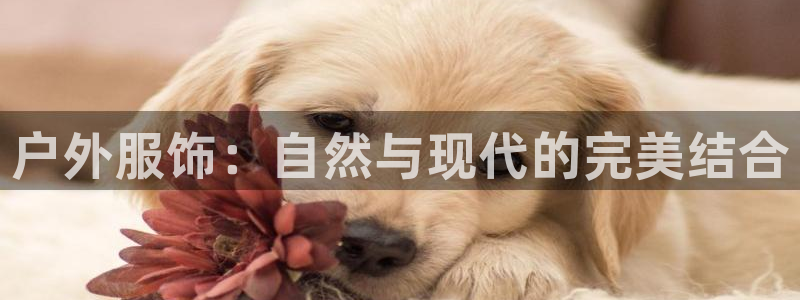 谈球吧体育app下载官网安卓