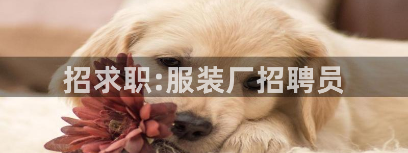 谈球吧体育app下载官网苹果版