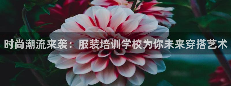 谈球吧体育app下载足球直播视频