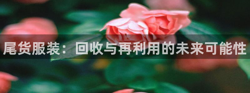 谈球吧app体育下载