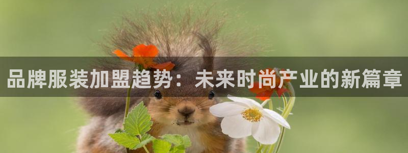 谈球吧体育app登陆入口