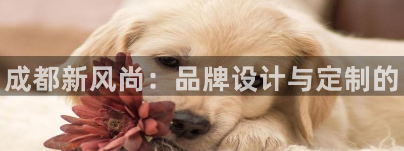 谈球吧平台app下载网址是什么