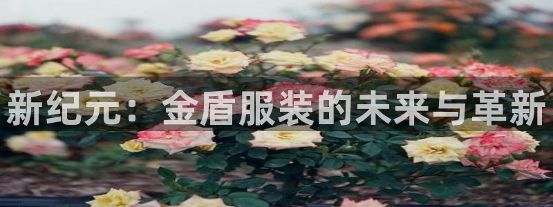 谈球吧是正规平台吗