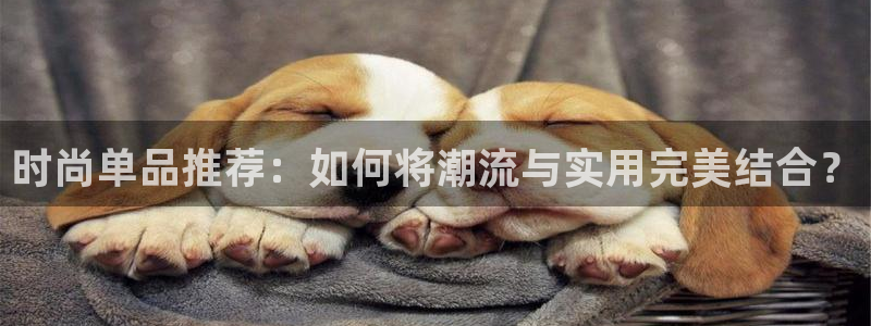 谈球吧官网入口在线观看